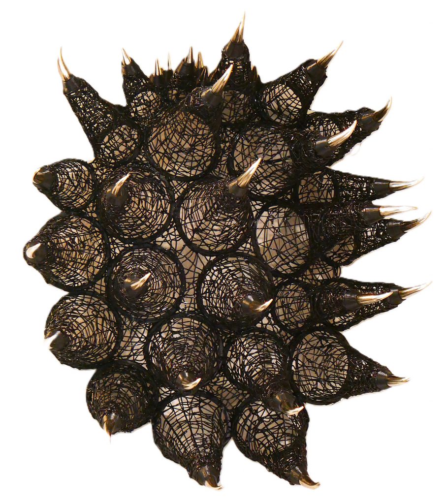 <strong>Gothica</strong><br>
Jodi Stuart<br>
2025<br>
<br>
3D plastic model with metal tips